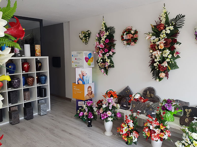 Visitez notre showroom
